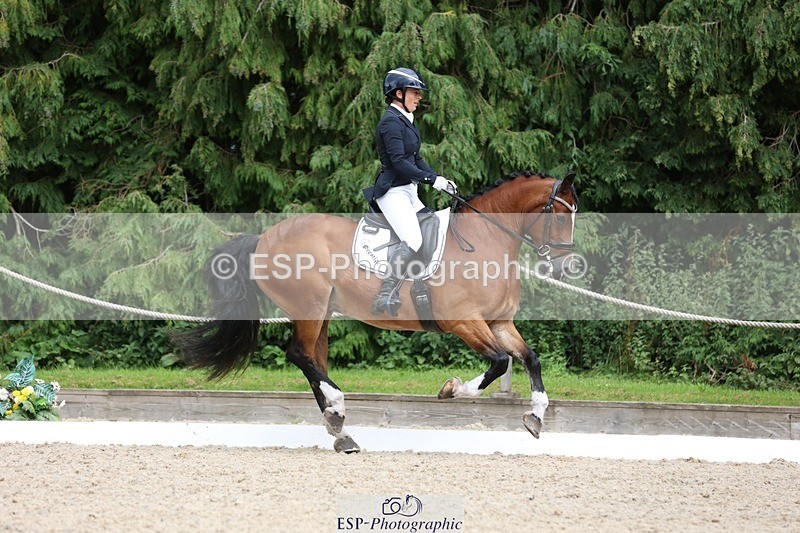 230812-151221-05073 - Cls 5 Novice Bronze 15.00 to End