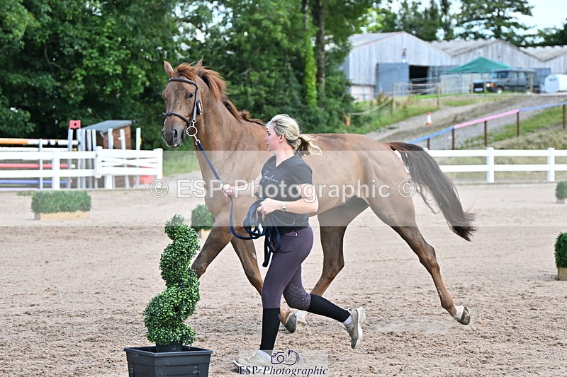 240718A-105253-01292 - Trot Up 12pm to 1pm