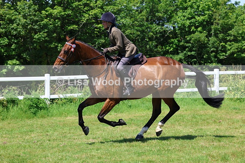 3E7A7532 - Class 31: Working Hunter Cob/Riding Horse