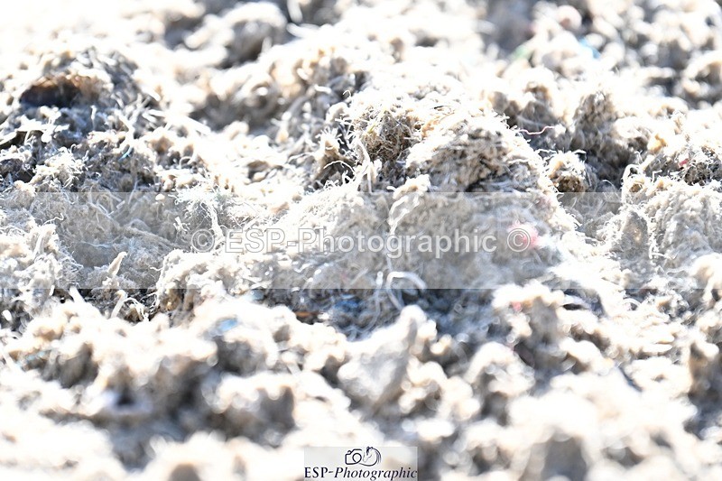 231110-124905-00802 - Cls 3 Novice 22