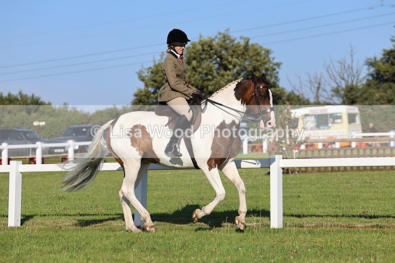 IMG_1227 - Class 27: Ridden Plaited Coloured Horse