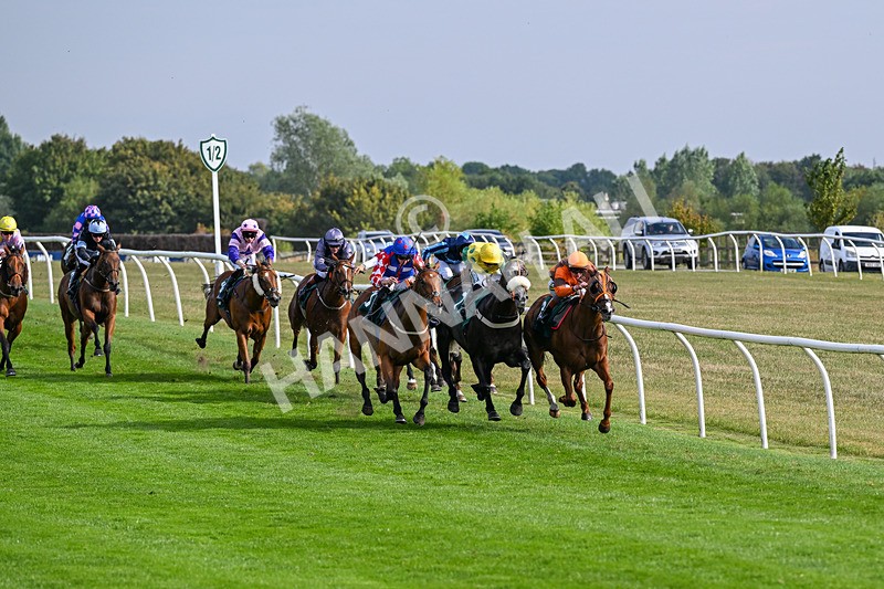 260826-Race 6-Lanarra-3806 - Race 6 16:52 Celebrate National Racehorse Week Classified Stakes