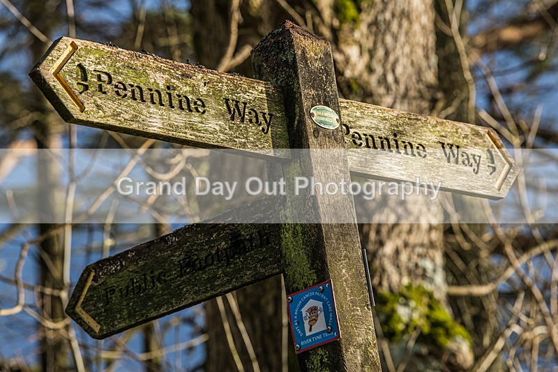 Spine-70 - Montane Spine Race Tuesday 14th January 2025
