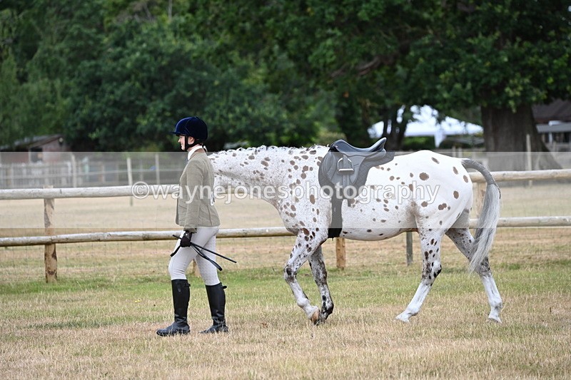 WJ6_3771 - Class 9 Tack & Turnout