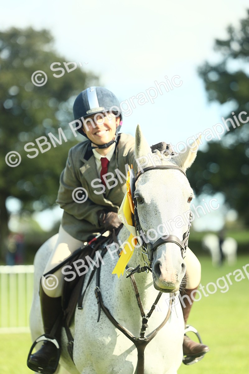 SBM_49927 - S32 - Novice & Newcomers Working Hunter
