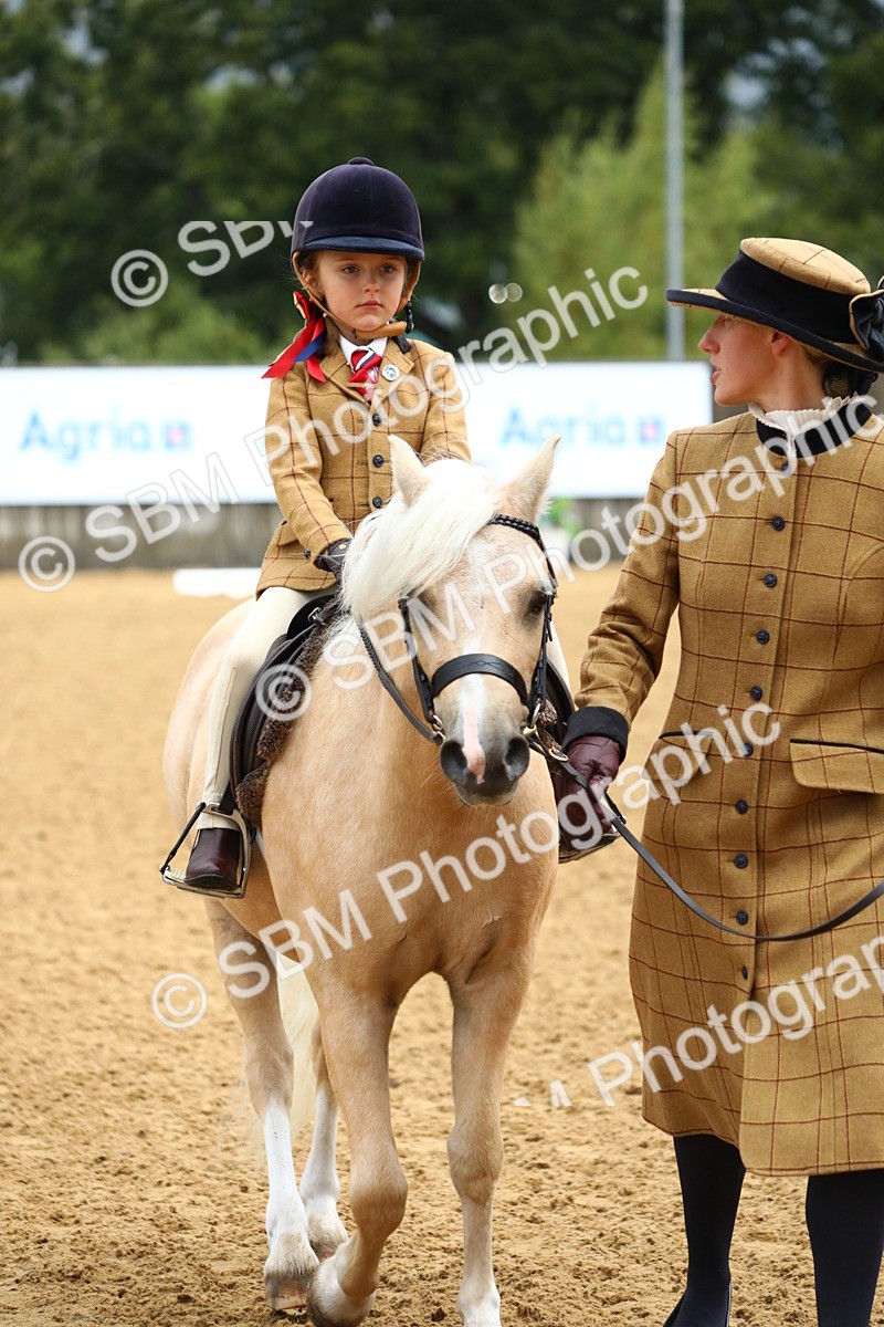 SBM_34560 - D26 - Starters Lead Rein