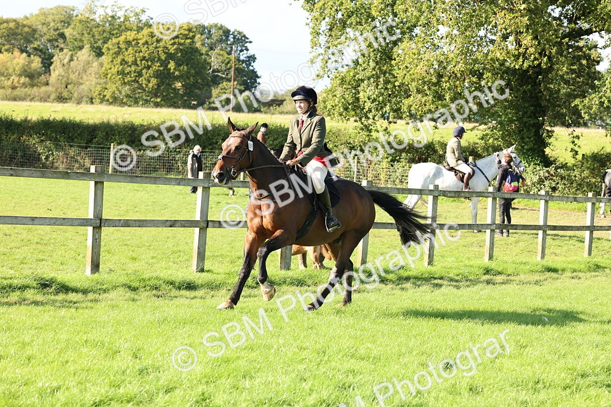 SBM_50139 - S34 - Novice & Newcomers Working Hunter