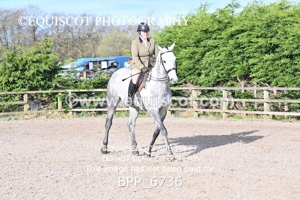 BPP_6736 - RING 1  (RIDDEN HORSES / IN HAND / VETERAN ETC)