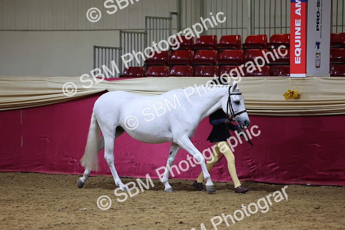 SBM_18441 - Class A Junior Champ 10 Years and Under