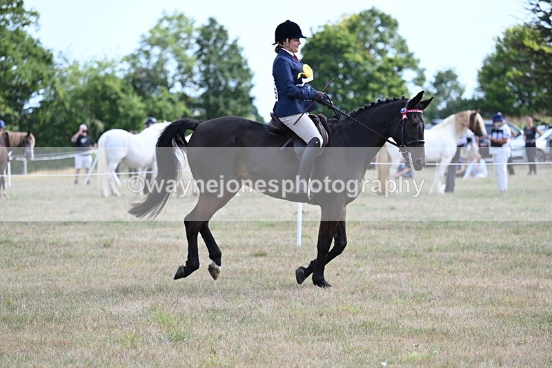 WJ7_6454 - Class 13 Ridden Veterans