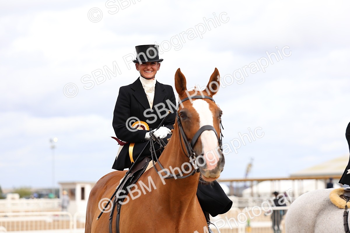 SBM_03477 - Class 24 - SSA Concours d'elegance (any age)