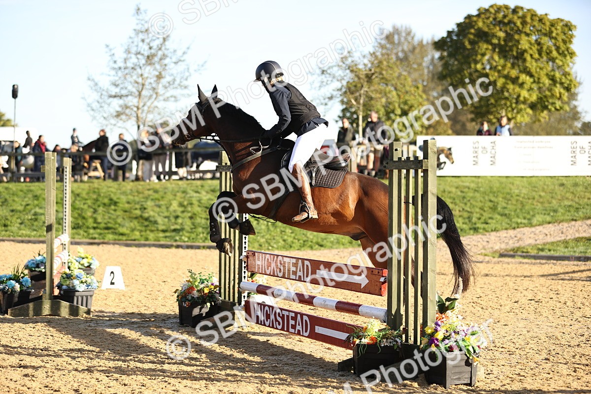 SBM_33117 - J38 - Senior 80cm Championship