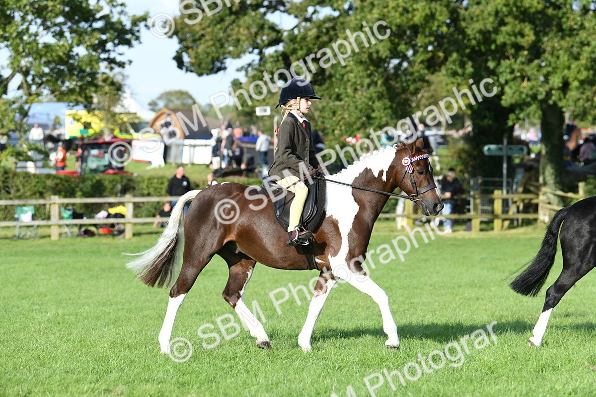 SBM_52393 - S22 - 1st Ridden Show & Show Hunter Pony
