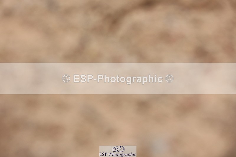 240621A-133058-01090 - Cls 15 BD Music Adv Medium