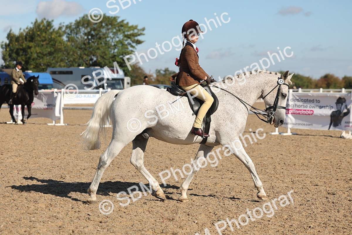 SBM_12277 - Class 304 - Ridden part Bred Horse Pony