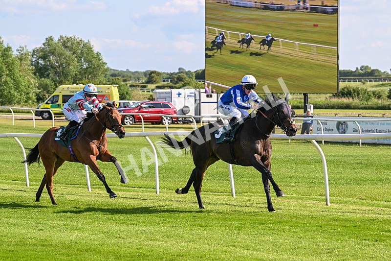 100625-Race 1-Desert Jungle-6371 - Race 1