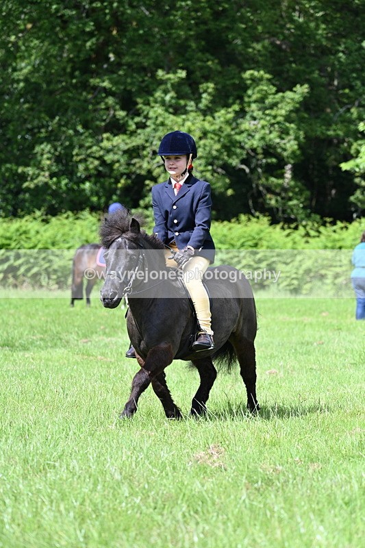 WJ7_1257 - Class 11 Condition & Turnout
