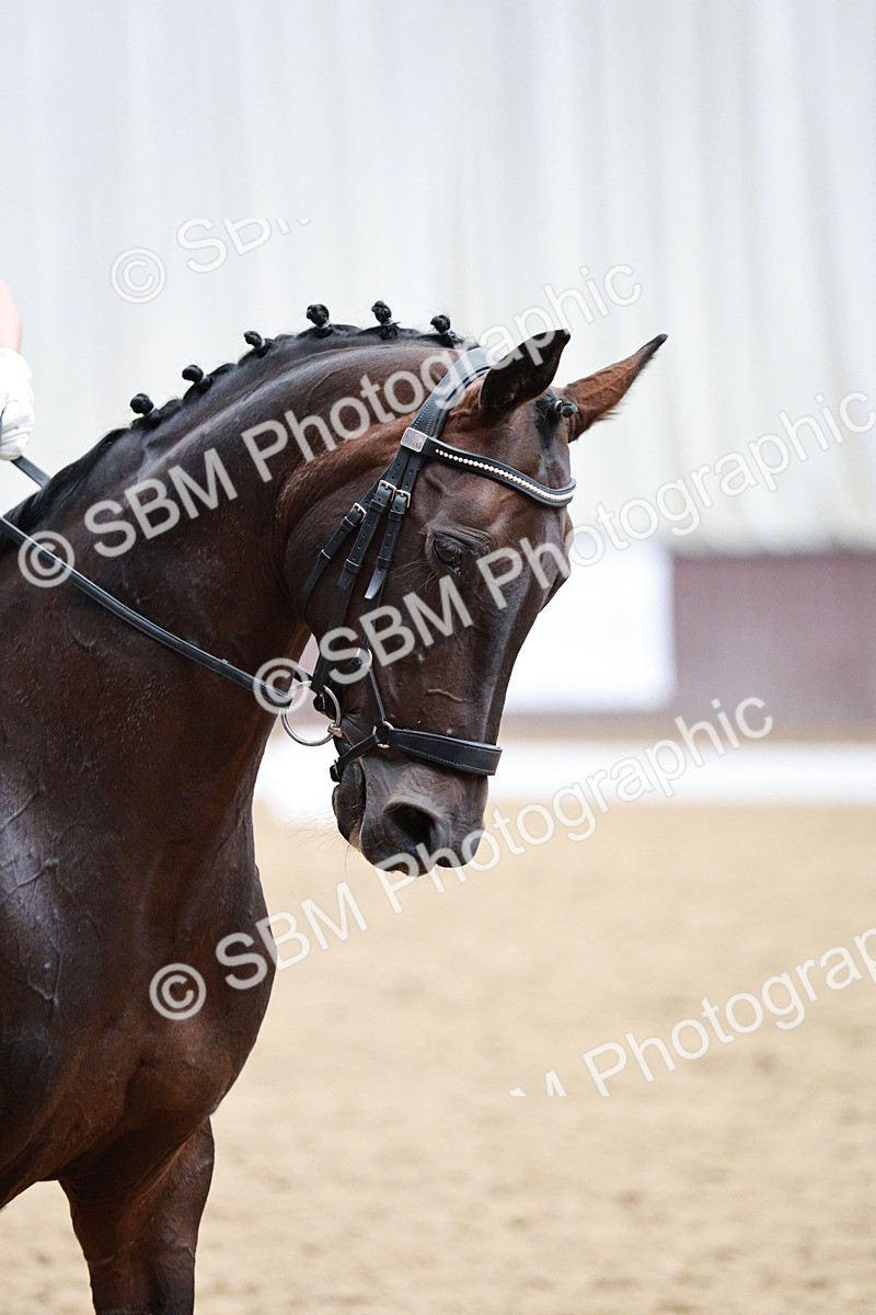 SBM_006119 - Class 17 - Advanced Medium FSM - 13.44-14.48