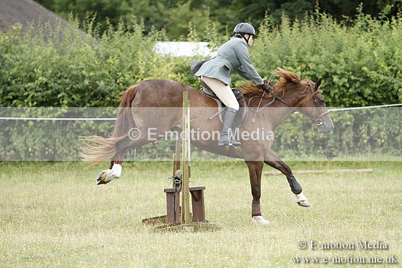 BVR160717-365 - Ring 3 BVRC Show 16/07/17