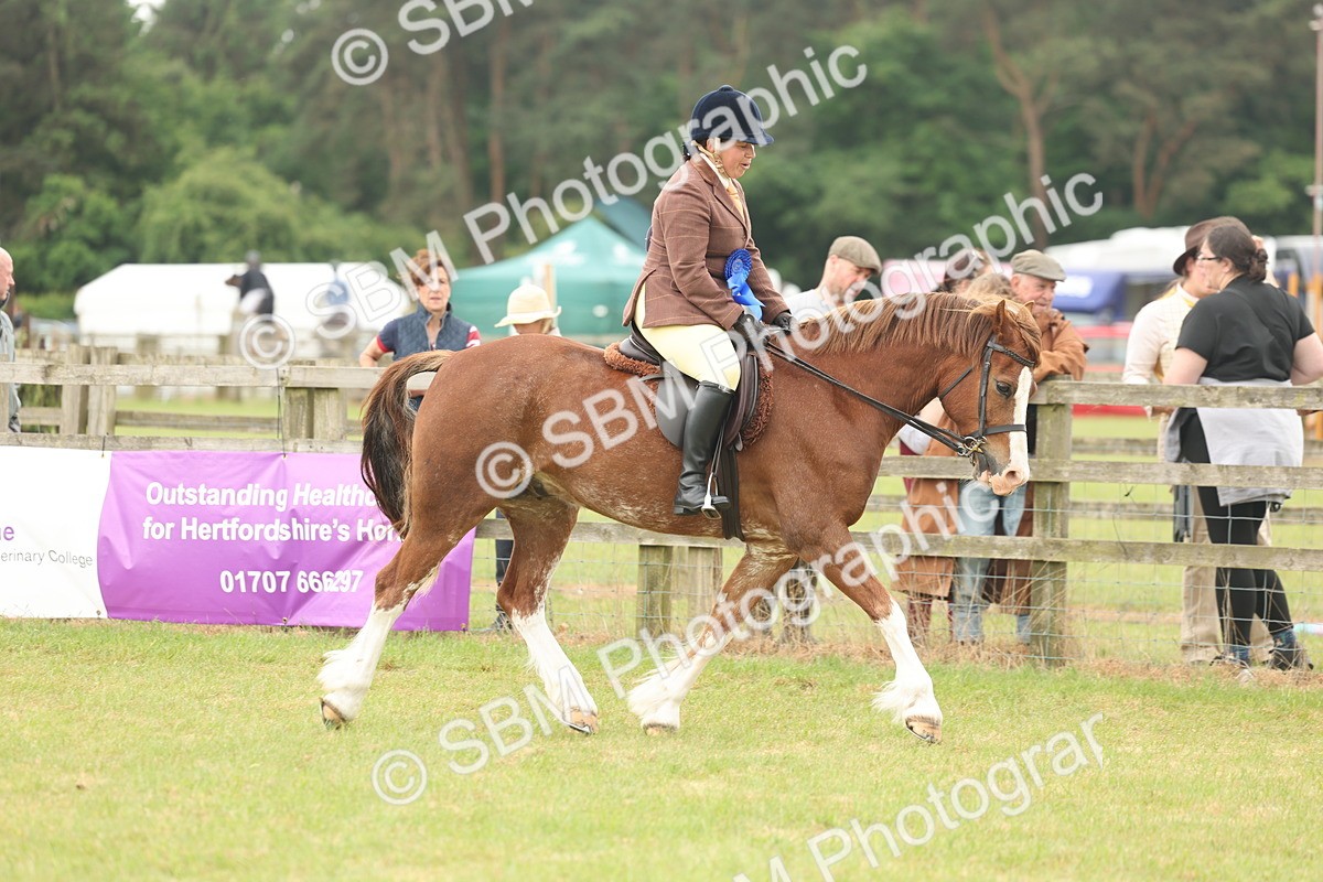 SBM_07286 - Class 76-77 - Ridden M&M Welsh Ponies