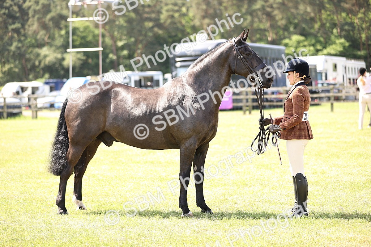 SBM_13830 - Class 77 - LIHS BSHA Rising Star Cobs