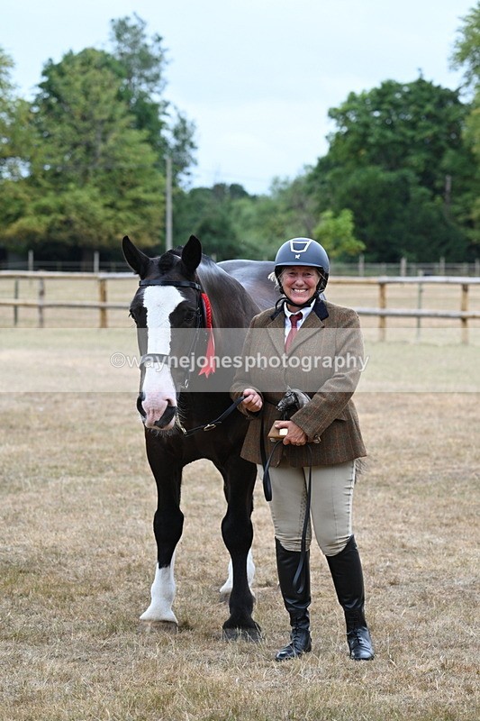 WJ7_0218 - Gelding Champs