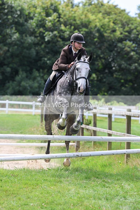 3E7A8873 - Class 6: Open Working Horse