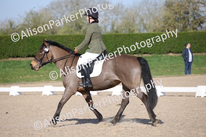 20250405-0167 - Class 9 - My Quest Prelim 3