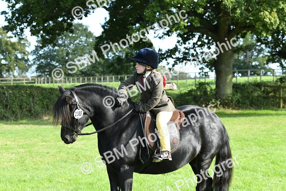 SBM_50457 - S21 - Novice & Newcomers 1st Ridden Pony