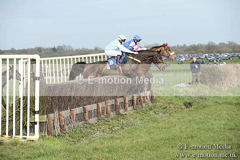 PtP 230319 472 - VWH Hunt Siddington Point-to-Point Racing 23/03/19