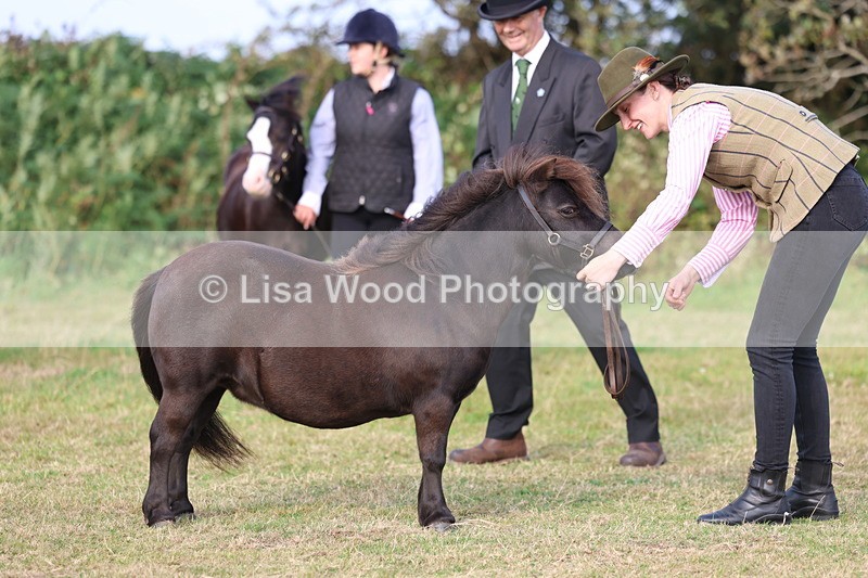 3E7A3270 - Class 12: M & M Small Breeds