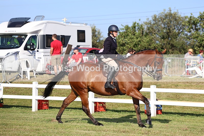 3E7A5324 - Class 2: Rising Star Large Hack/Riding Horse