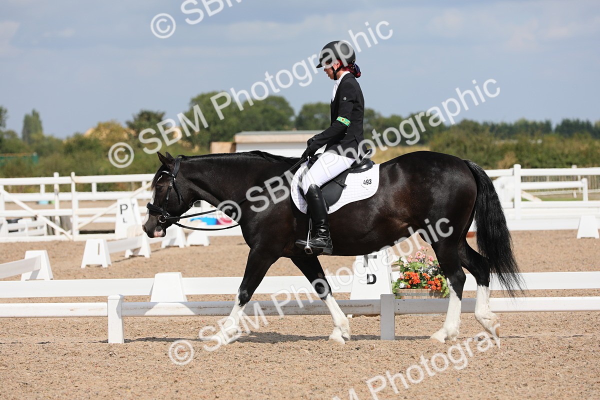 SBM_04191 - Class 31 Prelim 1