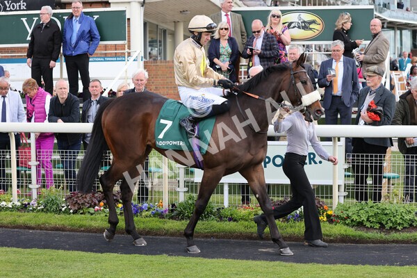 yr11052022r5-14 - Race 5 4.10pm Paddy Power 'Here For The Craic' Stakes