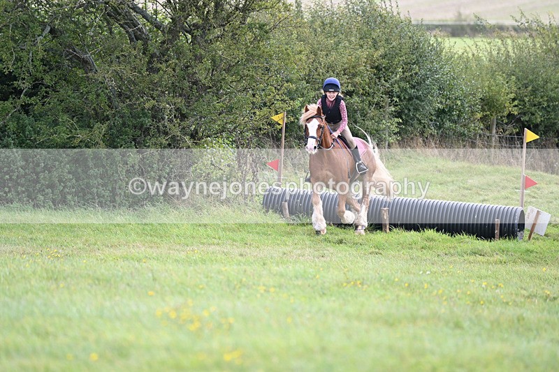 WJ6_7804 - Time 11:45 to 11:58