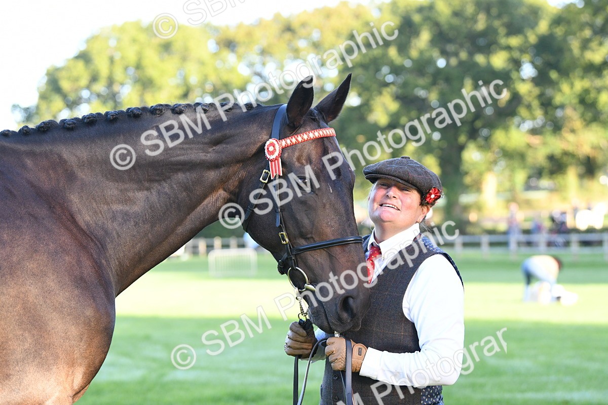 SBM_32748 - S15 - Condition & Turnout In Hand