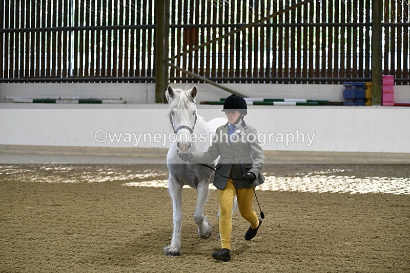 WJ5_3551 - Class 5 In Hand Veterans