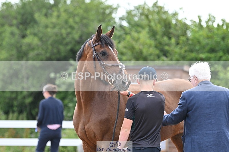 240717A-143556-02135 - Trot Up 2pm to 3pm - This folder is not in time order