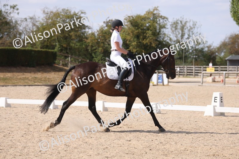 20260815-1041 - Class 6 - Novice 2