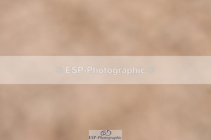 231217A-114125-00818 - Unaffiliated Classes