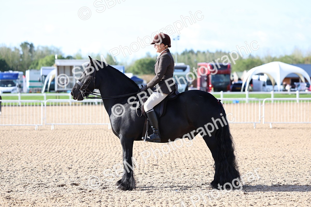 SBM_08936 - Class 302 - Ridden M&M - Large Breeds