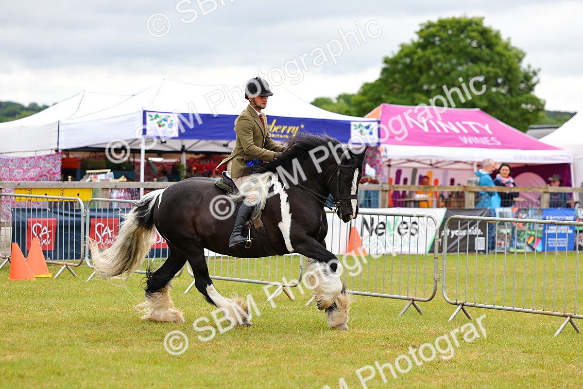 SBM_02610 - Class 9-11 Side Saddle including LIHS Rising Star Ladies Show Horse