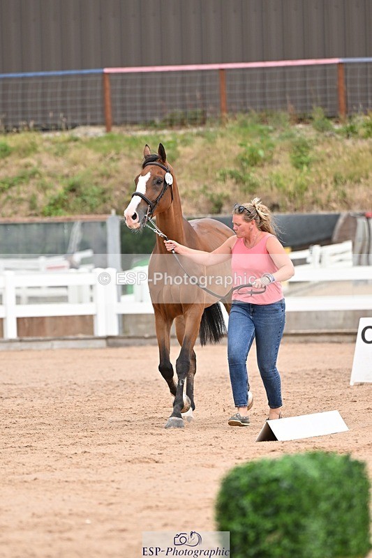 250716-152546-01932 - Trot Up 2.30 to 3.30