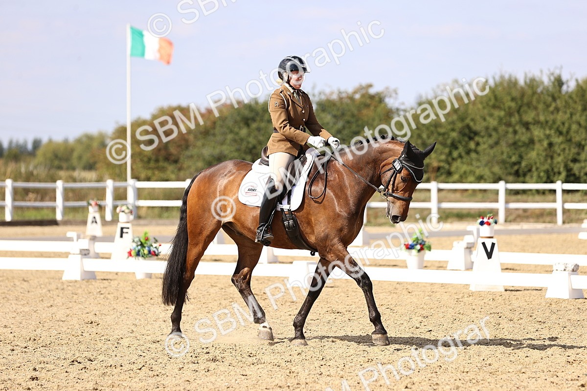 SBM_015119 - Class 6 - Elementary 5