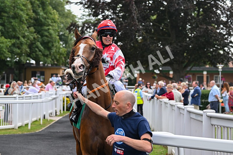 250725-Graham Lee IJF Stable Staff Stakes-C-3588 - The Graham Lee IJF Fund Stable Staff Stakes