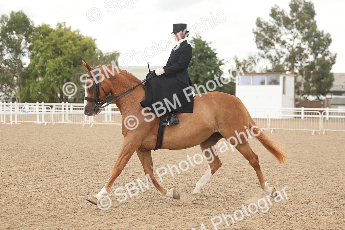 SBM_06325 - Class 23 - SSA - Classical