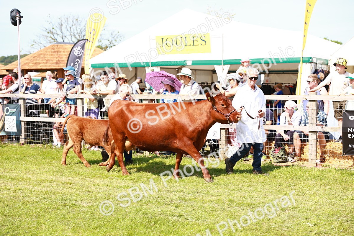 SBM_08367 - Grand Parade