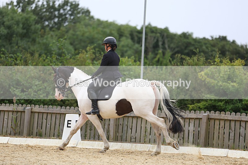 3E7A7366 - Class 9: Elementary 4 2024 - No sections