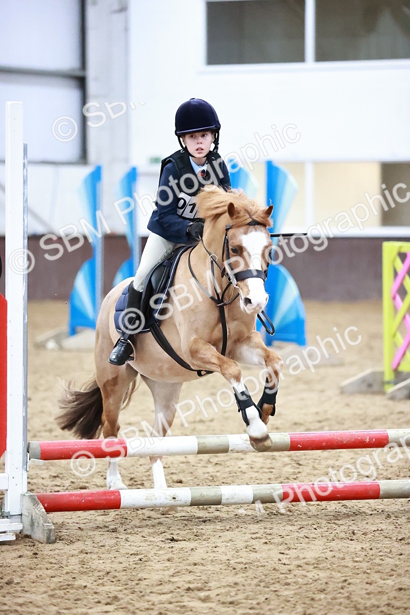 SBM_000425 - Class 2 - 50cm