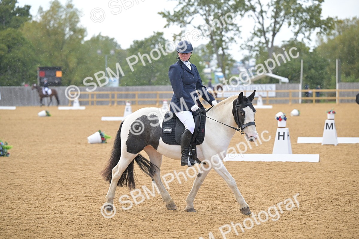 SBM_11171 - D3 - Small Tour Championship Intro 3